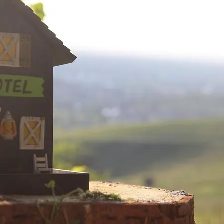 Vogesenblick * Offenburg